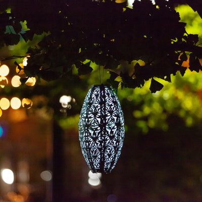 Stella Wildflower Pod Sage in tree glowing