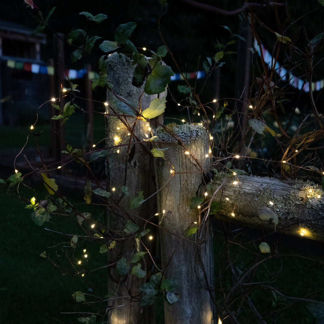 hanging plants with fairy lights Solar Storybook Fairy String Lights (100 LEDs) – Allsop Home & Garden
