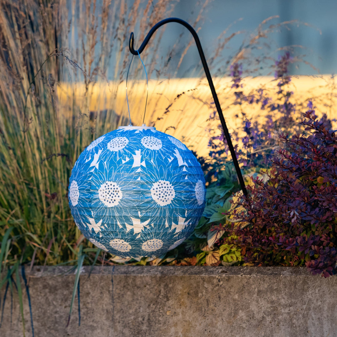 *。+Sola。* Soji Stella - Sunflower - 12