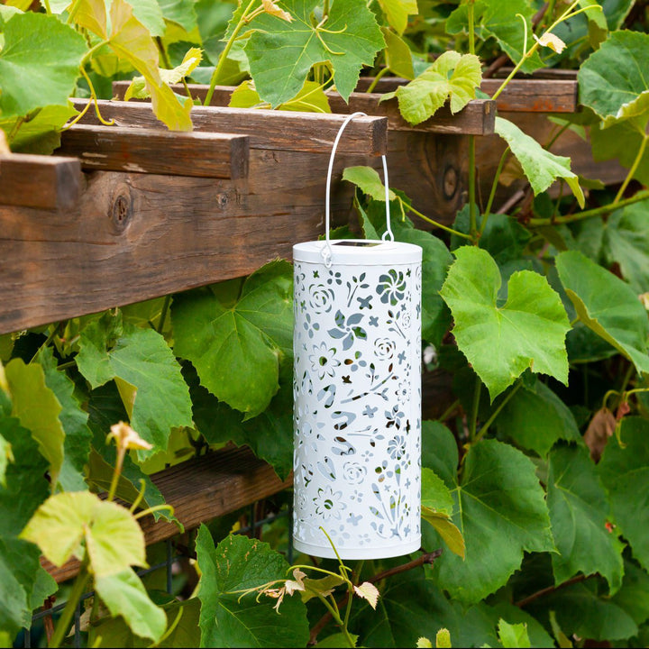 Bloom Punched Metal Solar Lantern - White – Allsop Home & Garden