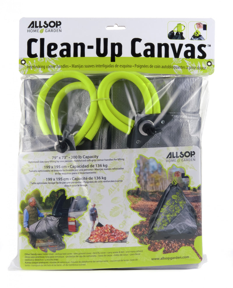 Clean Up Canvas studio image
