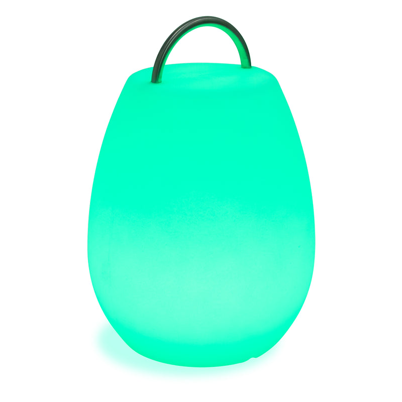 Allsop Portable LED Lantern
