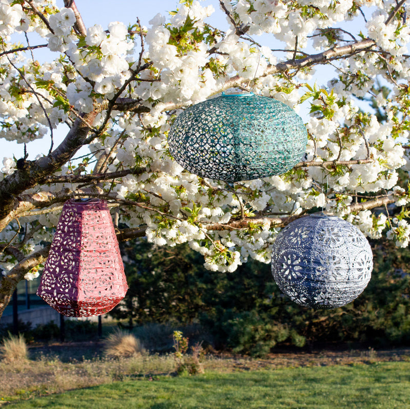 Soji Stella Tyvek Solar Lanterns in tree