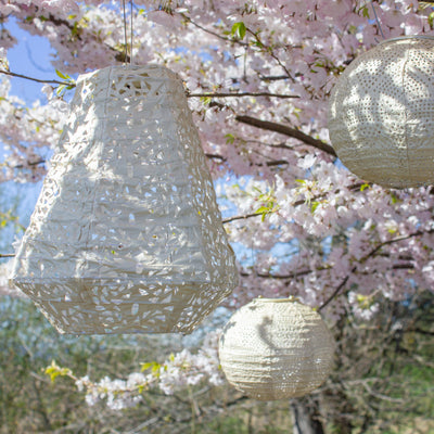 Soji Stella Tyvek Solar Lanterns in tree