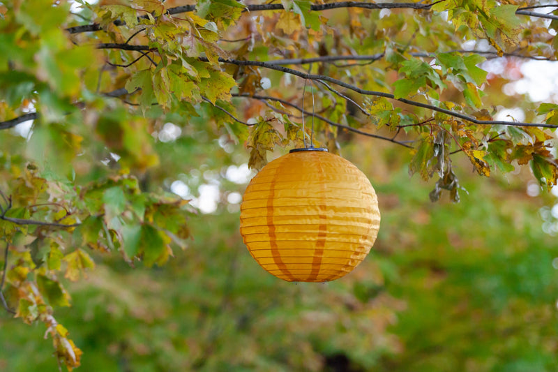 Canary Yellow Festival Solar lantern hanging in tree