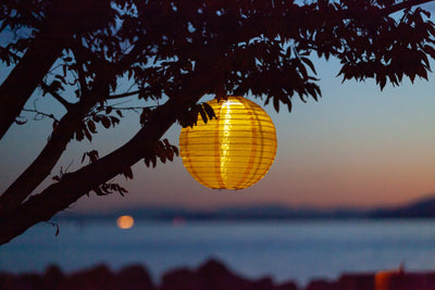 Canary Yellow Festival Solar lantern hanging in tree at night