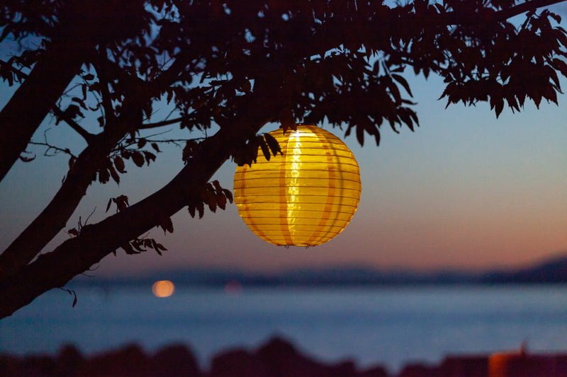 Canary Yellow Festival Solar lantern hanging in tree at night