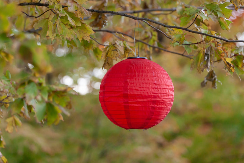 Warm Red Festival Solar Lantern hanging in tree