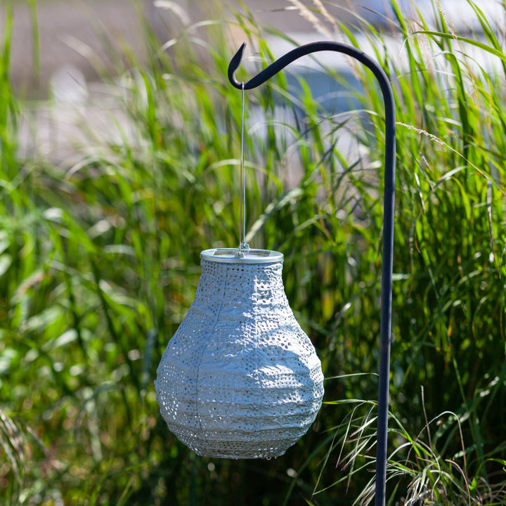 Soji Stella - Bulb - 8