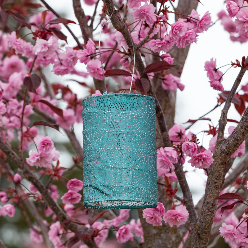 Soji Stella Cylinder Tyvek Solar Lantern  in tree with blossoms